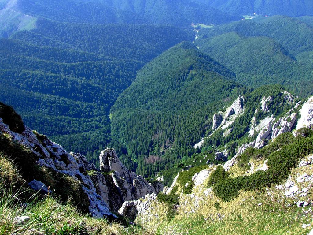 Pensiunea La Ionica Dîmbovicioara Zewnętrze zdjęcie