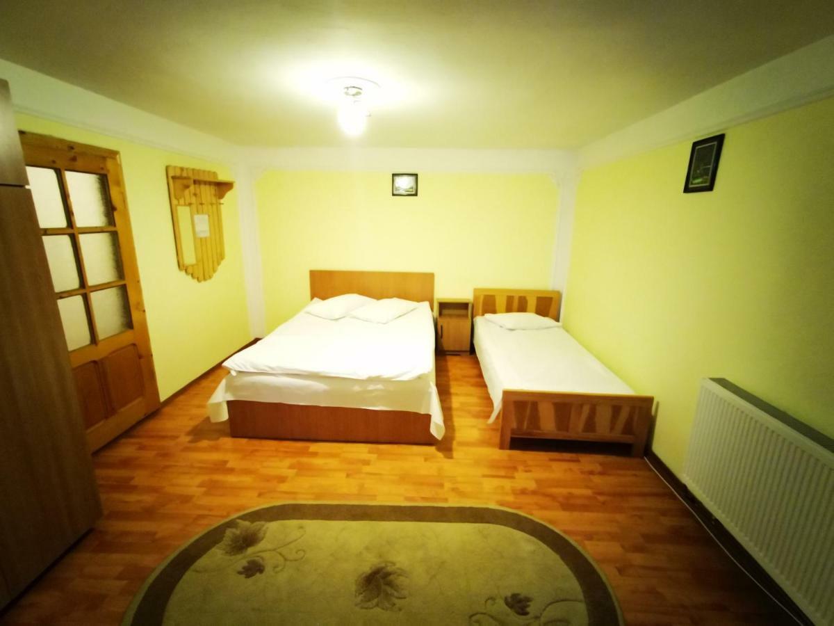 Pensiunea La Ionica Dîmbovicioara Zewnętrze zdjęcie